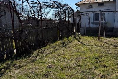 Casă cu 3 camere în Drăgotești - 6