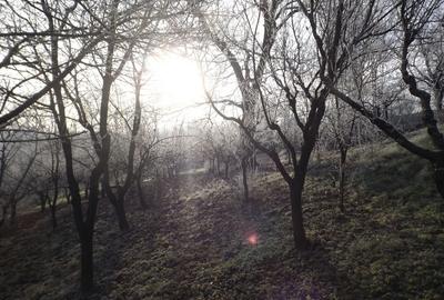 Casă cu 8 camere cu Canalizare în Pocruia - 5