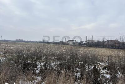 Teren de 26000 mp, în Cefa - 2