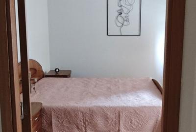 Apartament cu 2 camere decomandat în Dosu Bricii - 4