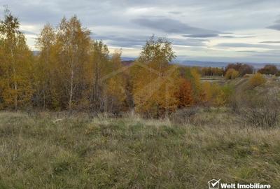 Teren intravilan – Salicea, 971 mp - 1