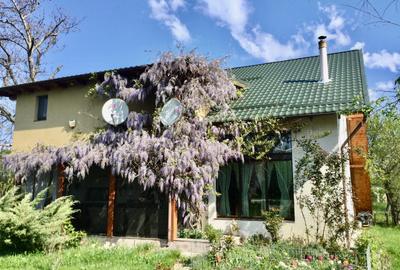 Vila de poveste 5 camere zona Bolintin Vale, judetul Giurgiu - 7