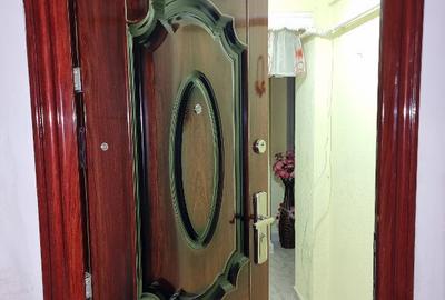 Apartament patru camere mobilat utilat CT langa biserica SfantuDumitru - 17