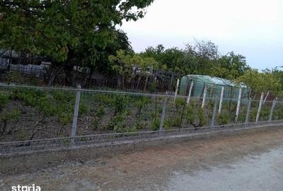 Casă cu 4 camere cu Teren 109 Mp în Central - 3