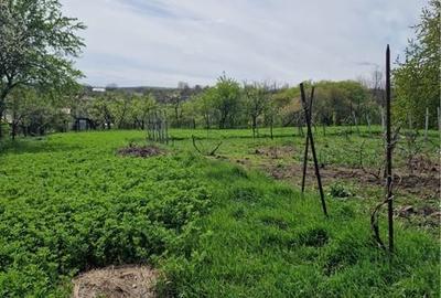 Casă cu 3 camere în Burlești - 6