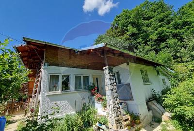 Casa de la marginea padurii! - 19