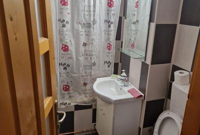 Apartament cu 2 camere decomandat în Cornitoiu - 13