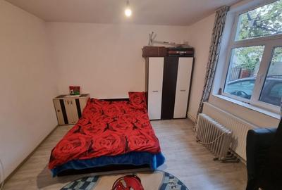 Delfinariu -casa de caramida - 7