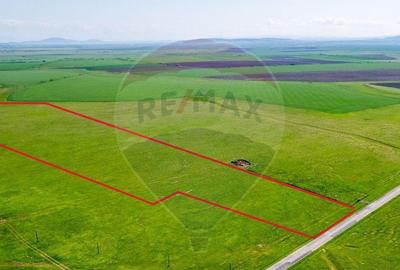 Teren agricol 5 ha, extravilan, 52 m deschidere la ?osea - 2