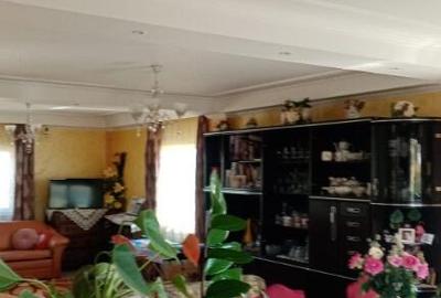 Vila in Rusii Manastioara - 18