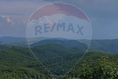 Spațiu comercial, de 510 mp, în Bisoca - 18