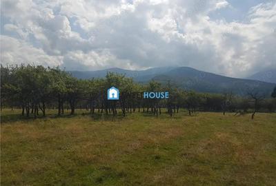 Teren de vanzare in Sambata de Sus - 3