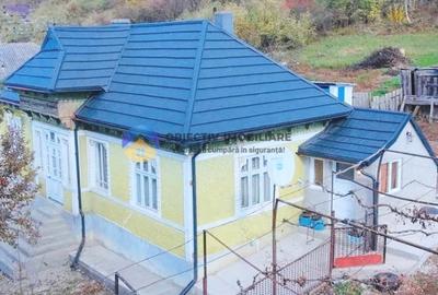 CASĂ de POVESTE intr-o zona linistita + teren 3000 mp - COSTIȘA - 1
