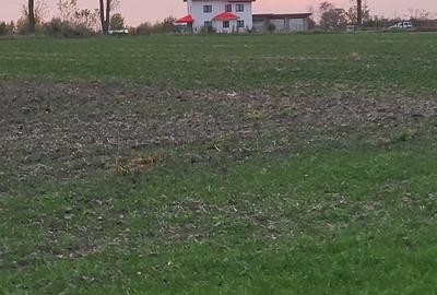 Teren intravilan la asfalt cu utilități și dublă deschidere 25x70.Drum principal Teren intravilan la asfalt cu utilități și dublă deschidere 25x70.Drum principal - 4