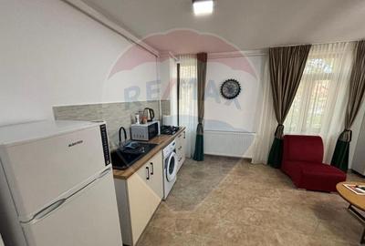 Apartament cu 2 camere de inchiriat in zona Plevnei - 7