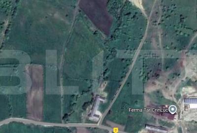 Teren extravilan, 4,7 ha ideal investitie panouri fotovoltai Teren extravilan, 4,7 ha ideal investitie panouri fotovoltai - 1