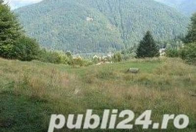 Teren de 3300 mp, în Predeal - 1