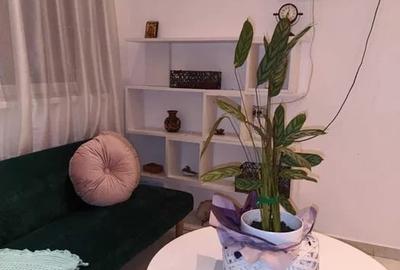 Apartament 2 camere, decomandat, 42mp, centrala, A/C, Vitan-Barzesti