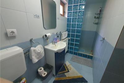 Oferta casa de vacanta P+1+M cu 1700mp teren, in Gura Raului - 37