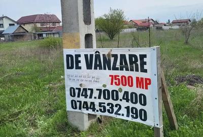 Teren intravilan Ciorogarla - 2