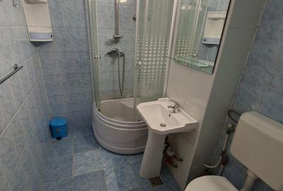 Apartament cu 1 cameră,decomandat, PET FRIENDLY, zona Podu de Piatra - 6