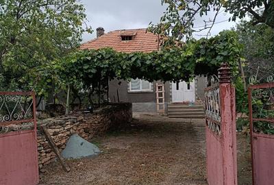 Casa de vanzare in Ceamurlia de Sus - 8