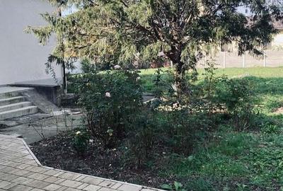 Vand spatiu comercial Sanandrei 120000 euro! - 4