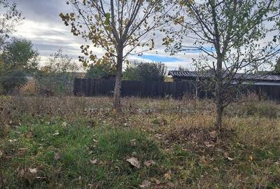 Teren Intravilan Curtea de Arges - 3