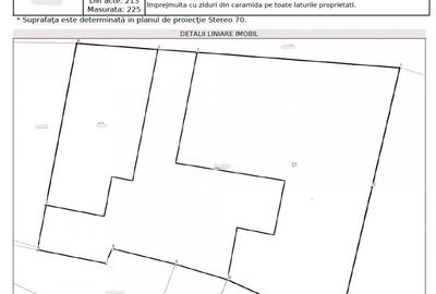 Vila interbelica de excep?ie utilizare mixta Ultracentral Odobe?ti - 8
