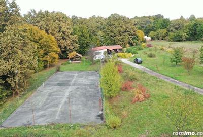 Proprietate exclusivista cu 60.000 mp teren ?i padure - 8