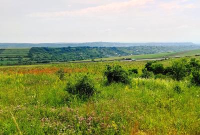 28.554 mp TEREN EXTRAVILAN, TURDA - SĂNDULEȘTI, jud. CLUJ, 300 m de AUTOSTRADA - 18