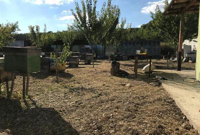 Spațiu comercial, în Ion Creangă - 8