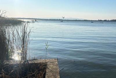 TEREN INTRAVILAN LA DUNARE sat. Macesti - 8