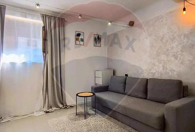 Garsoniera renovata complet - Locotenent Dumitru Lemnea 3 - 2
