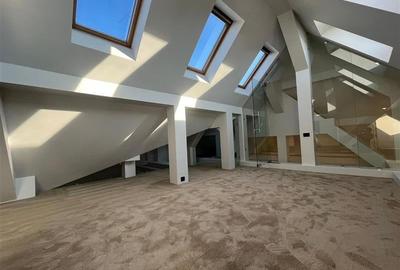 Penthouse in vila, de vanzare - Strada Tokio - 18