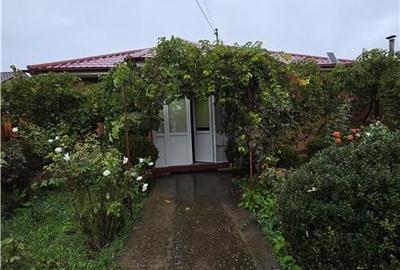 Casă individuală cu 3 camere cu Canalizare în Valu lui Traian - 31