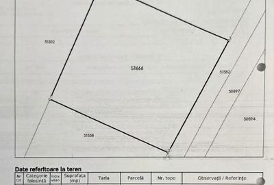 Casă cu 4 camere în Satu Nou de Jos - 2