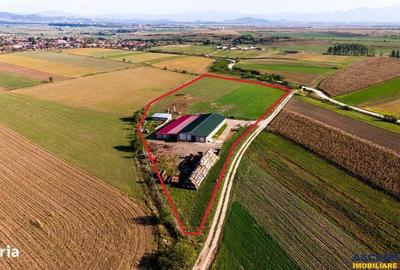 Teren de 18000 mp, în Feldioara