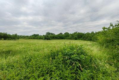 Teren de 18645 mp, în Sântămăria de Piatră - 17