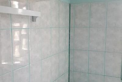 Apartament cu 2 camere decomandat în Iosefin - 7