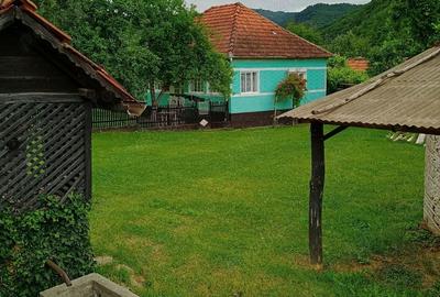 Casa ,anexe ,teren , sat Micanesti,comuna Zam, judetul Hunedoara - 1
