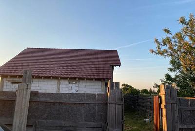 Casă cu Teren 450 Mp în Jimbolia - 1