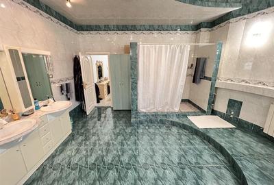 Casă individuală cu 12 camere cu Canalizare în Unirii - 26