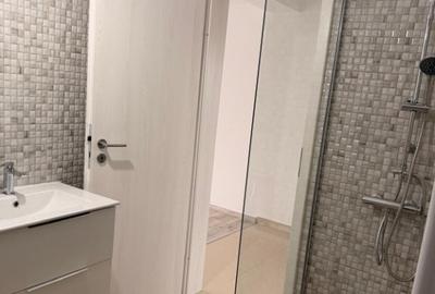 Vanzare vila individuala - 6