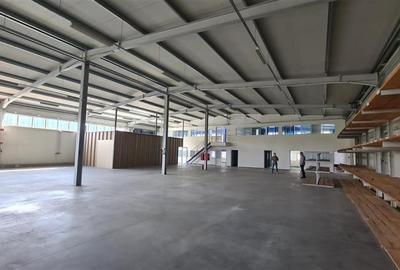 Spațiu industrial, de 1,038 mp, în Ronaț - 3