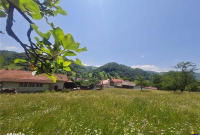 Teren de 2327 mp, în Moieciu - 9