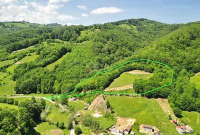 Teren de 16000 mp, în Poiana Mărului - 3