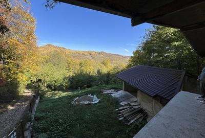 Casă cu 3 camere în Homorâciu - 1
