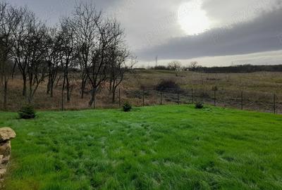 Casă cu Teren 500 Mp în Central - 4