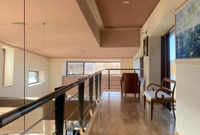 Casă individuală cu 10 camere cu Canalizare în Snagov - 3